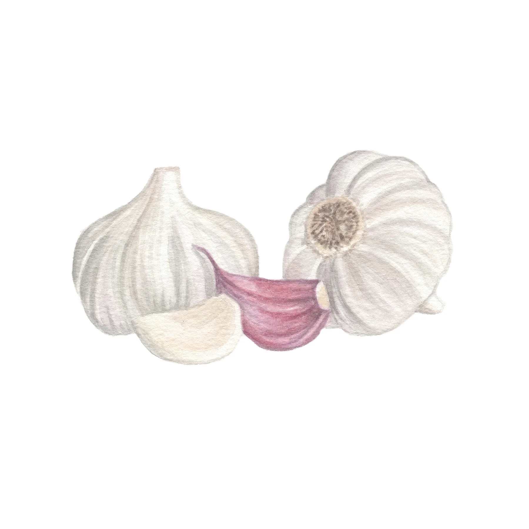 Garlic.jpg