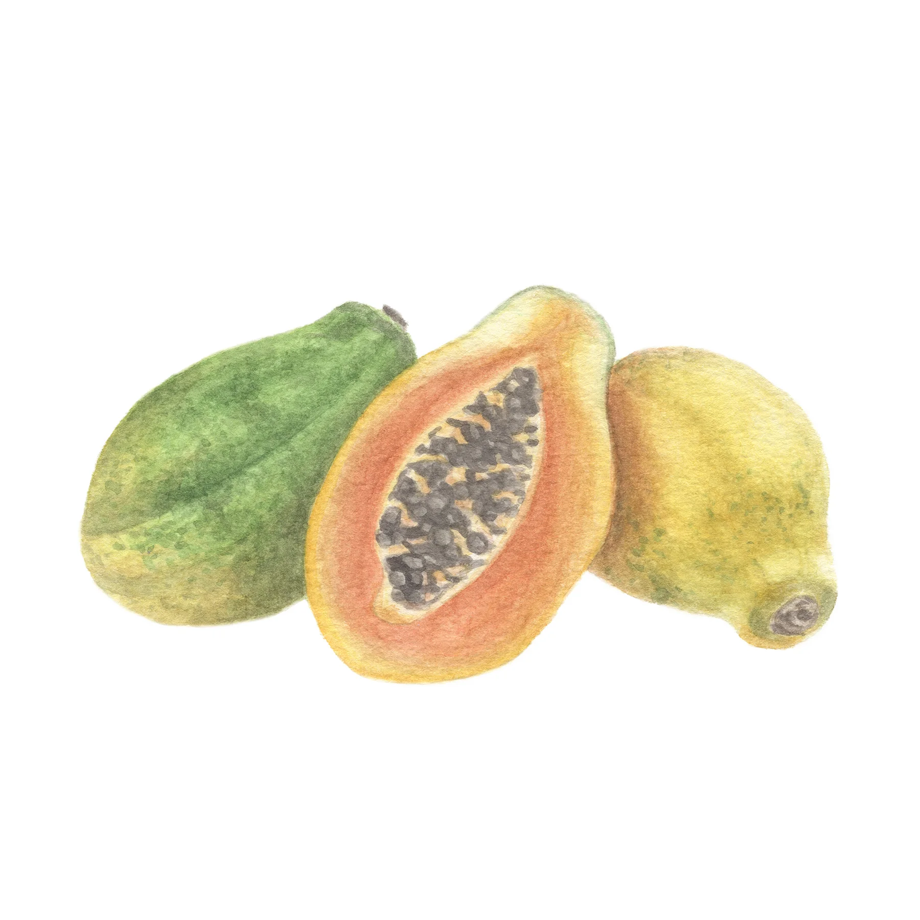 Papaya.jpg