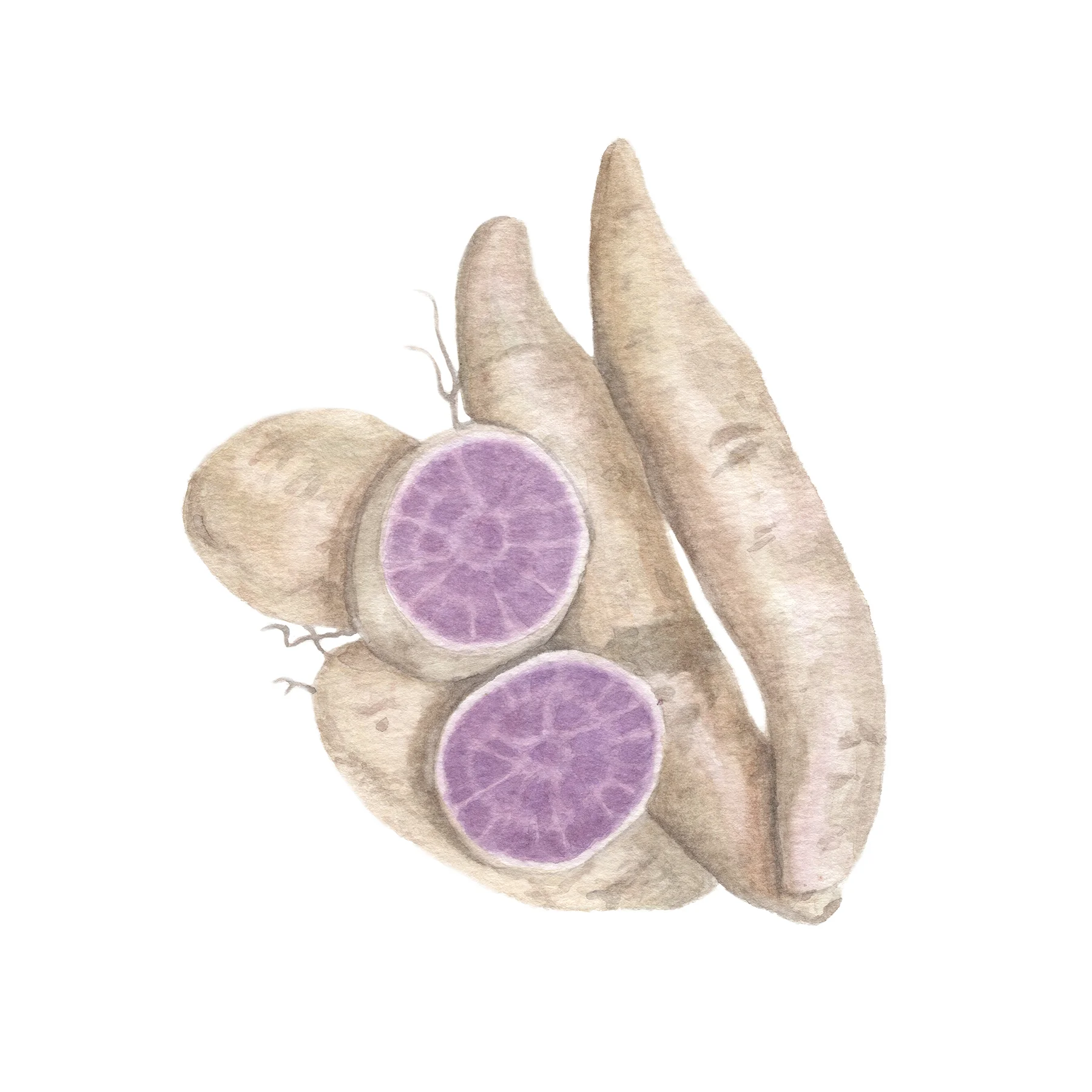 SweetPotato.jpg