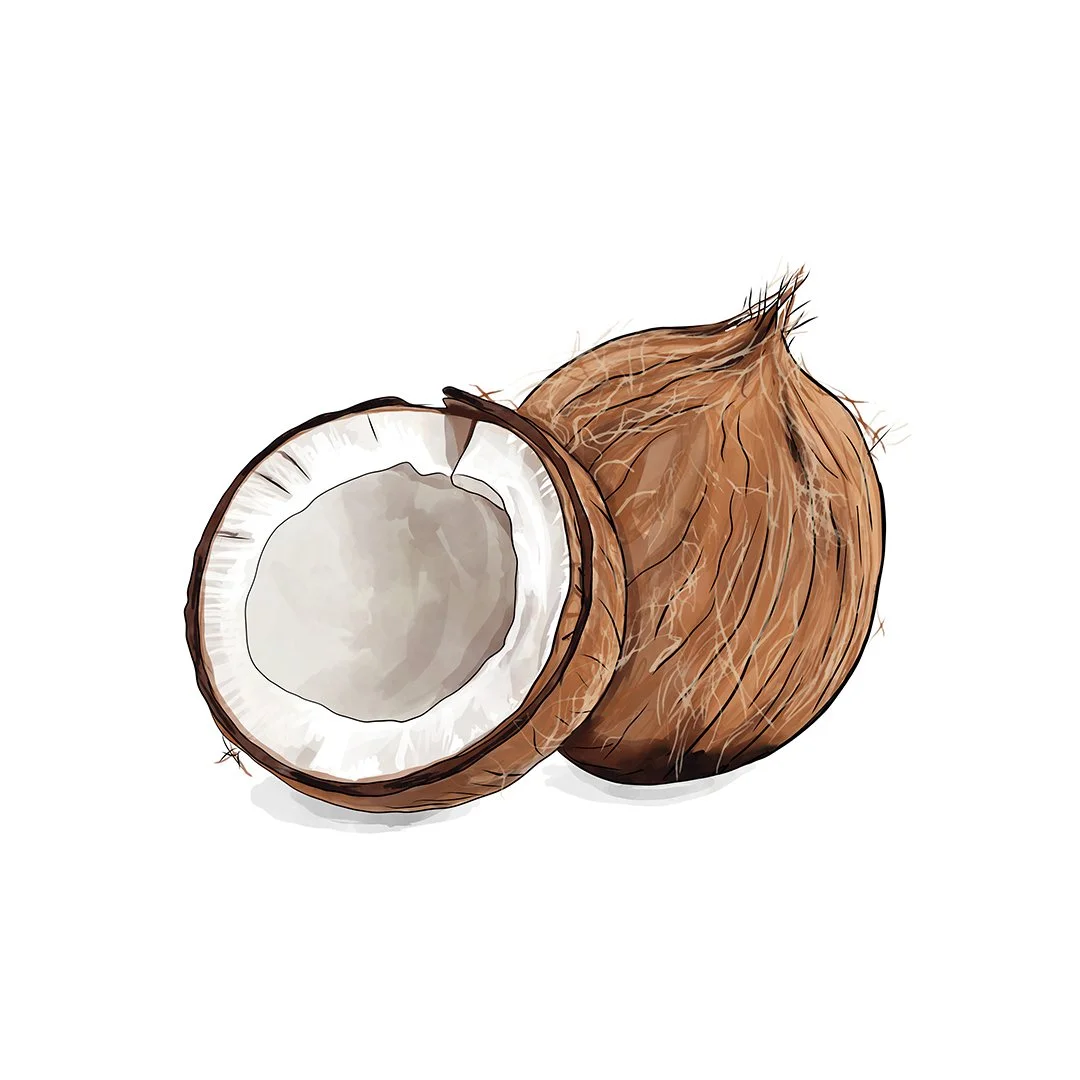 Coconut.jpg