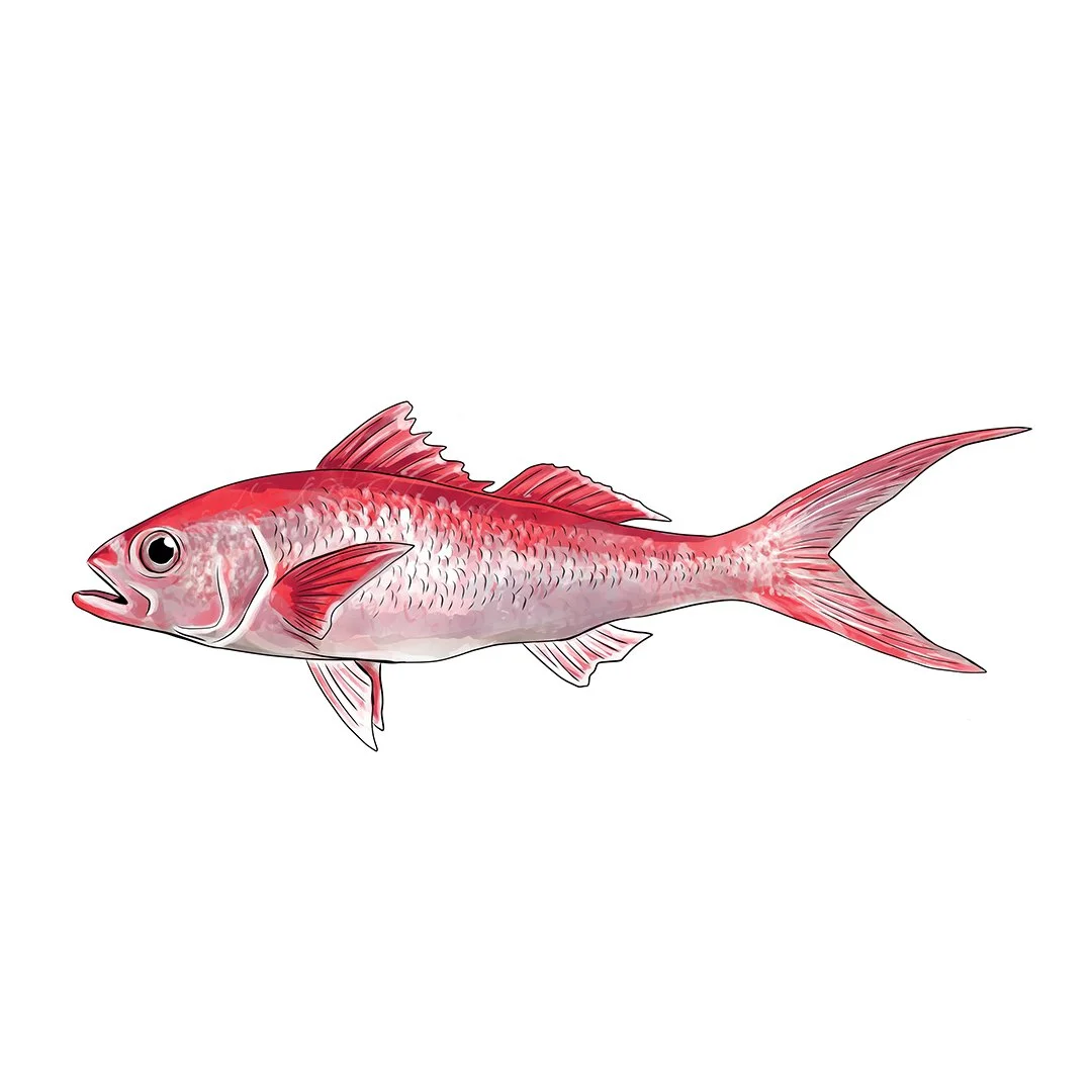 Onaga.jpg
