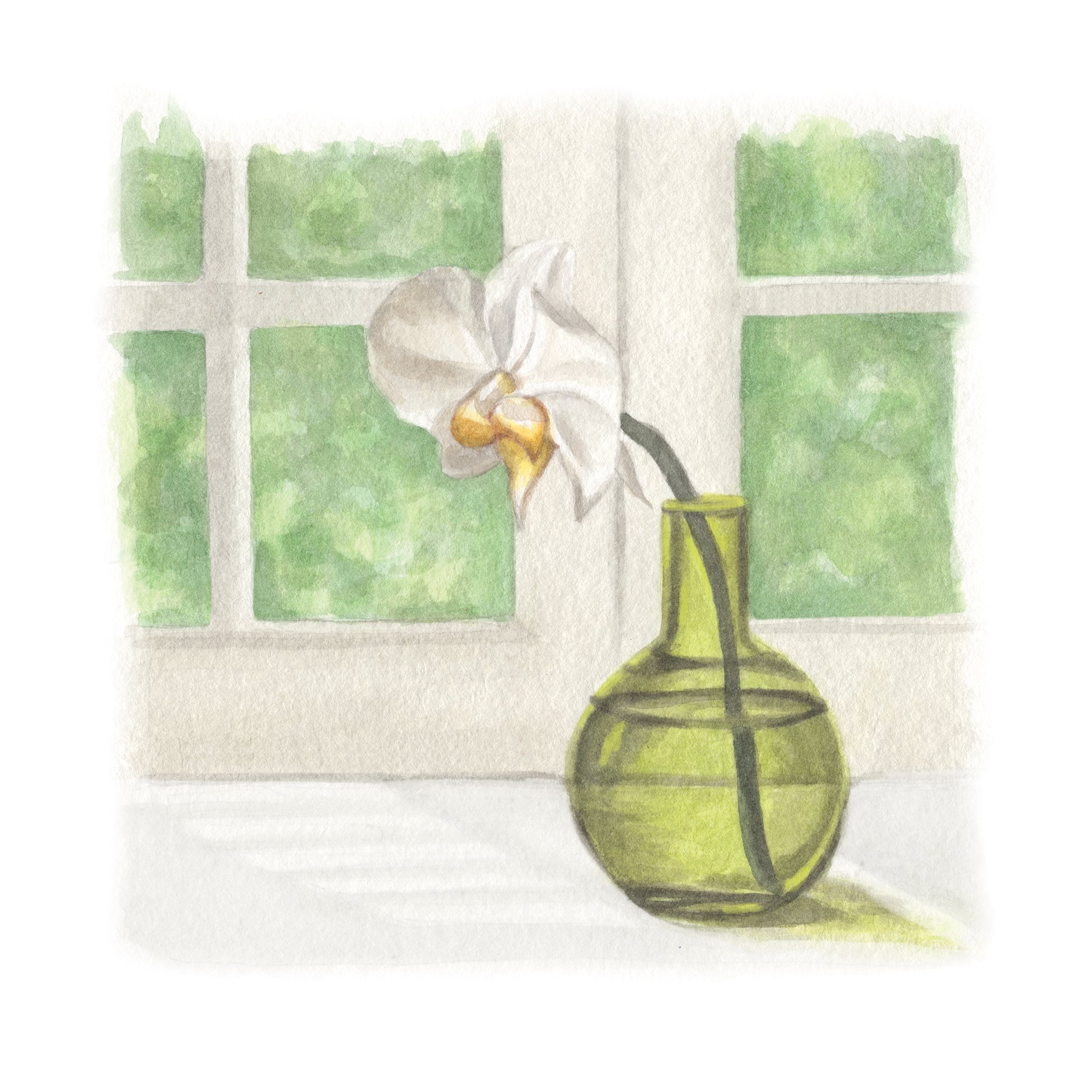 Orchid.jpg