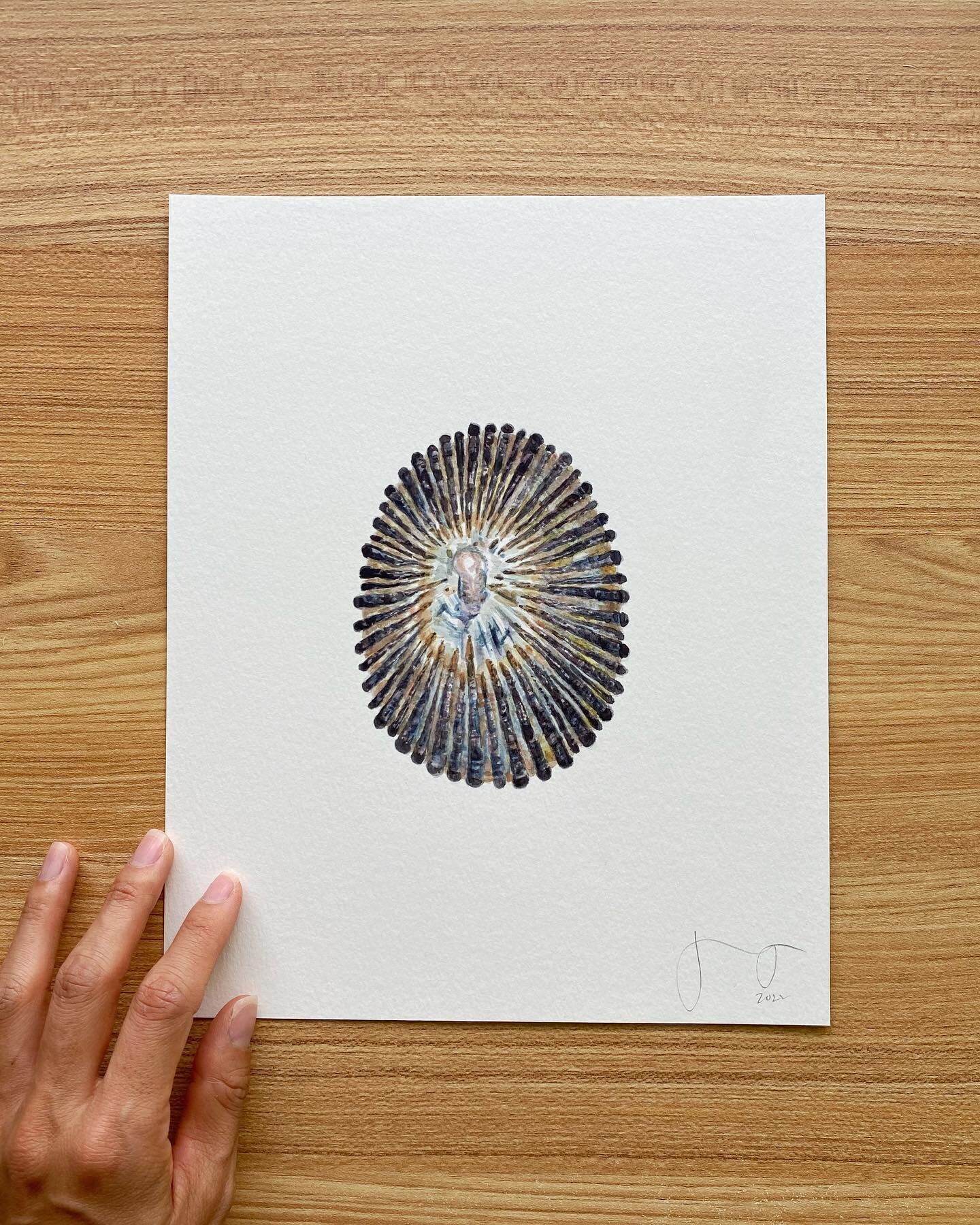 For a limited time, a solo print of my &lsquo;opihi will be available exclusively through  @kaiao_space&rsquo;s print fundraiser for Maui🙏🏽🤍.

100% of net proceeds will be donated to @helpmauirise, a direct-to-ʻohana initiative focused on equitabl