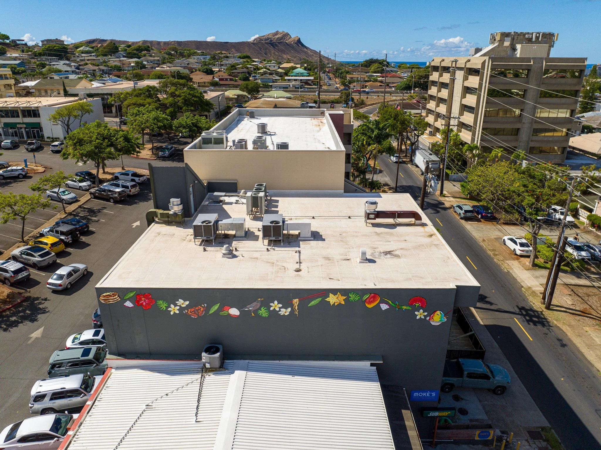 DJI_0689.jpg