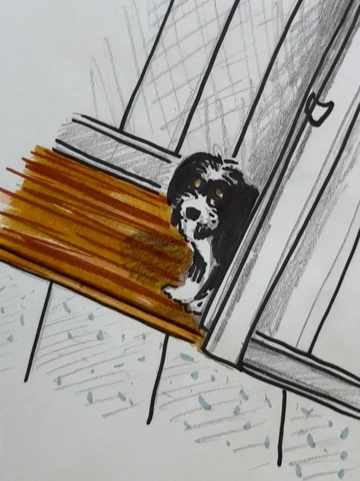 July (in order) 💁🏻&zwj;♀️🗓️