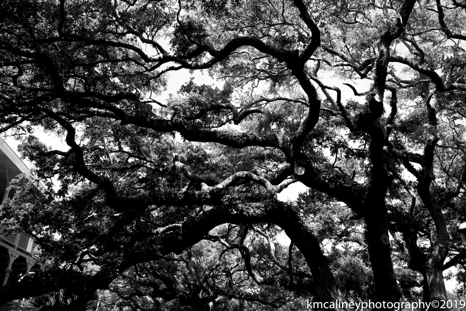 untitled-57.jpg