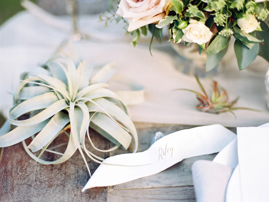014-Canmore_Wedding_Photographers.jpg