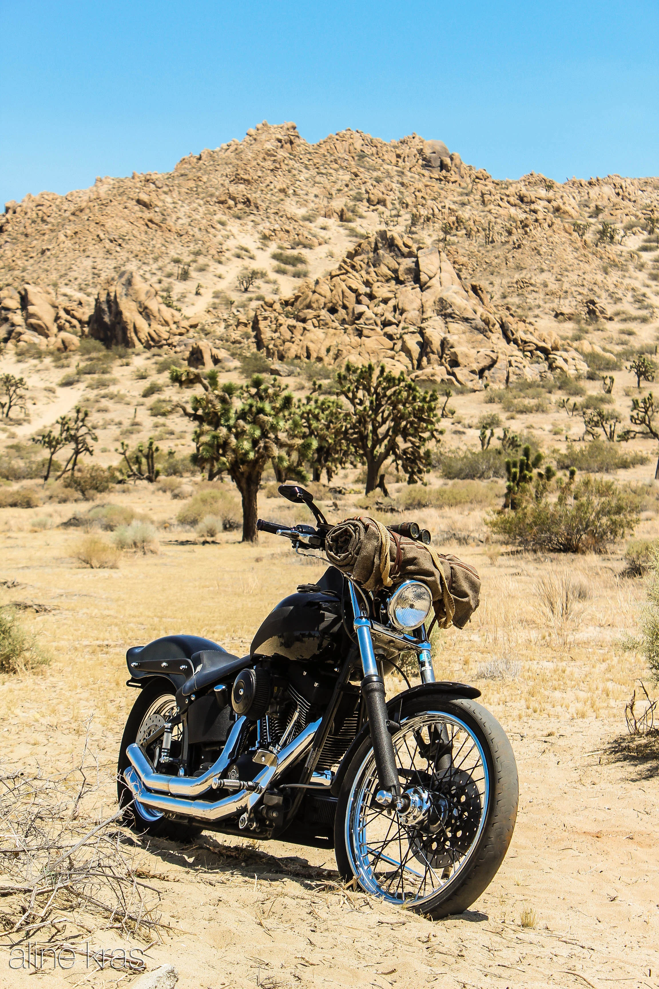 Mojave Desert CA