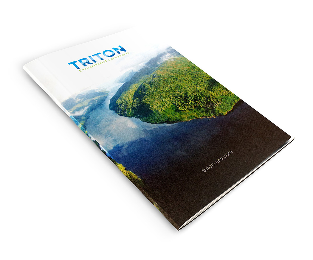 Triton Brochure