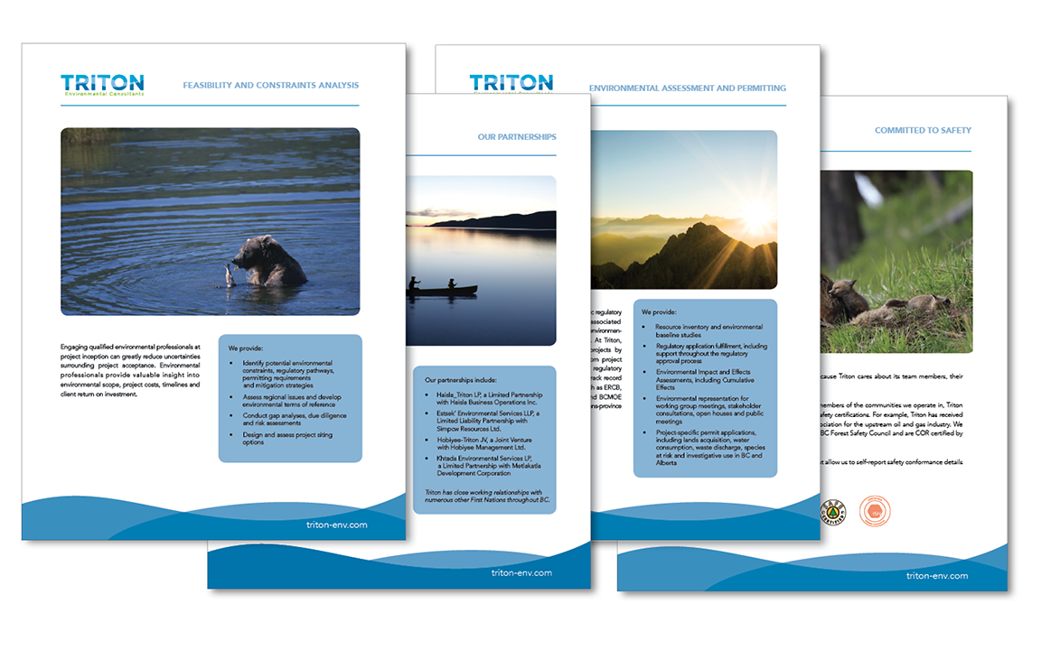 Service Sector Inserts