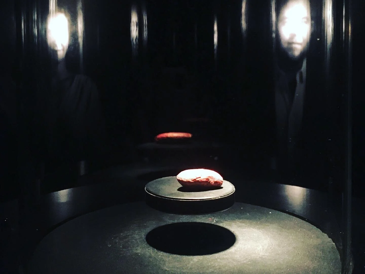 Das Herzstück: die Kakaobohne