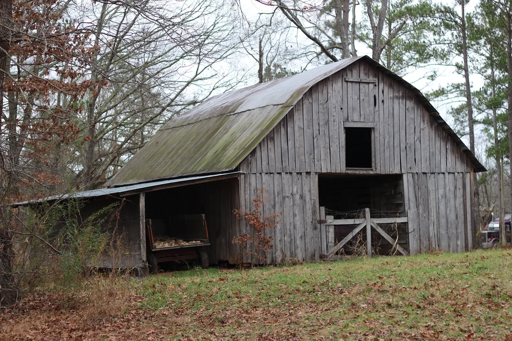 The Unicorn in the Barn — Rebecca Green Illustration