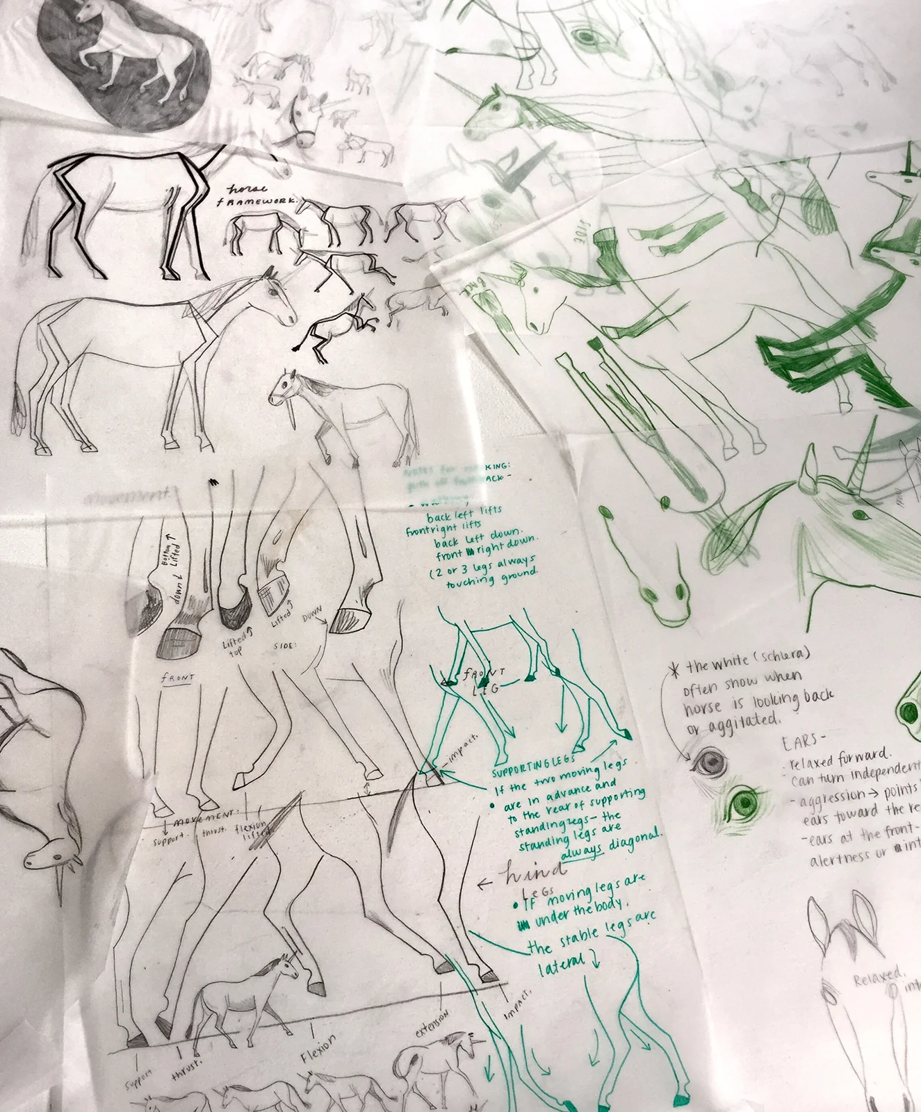 The Unicorn in the Barn — Rebecca Green Illustration