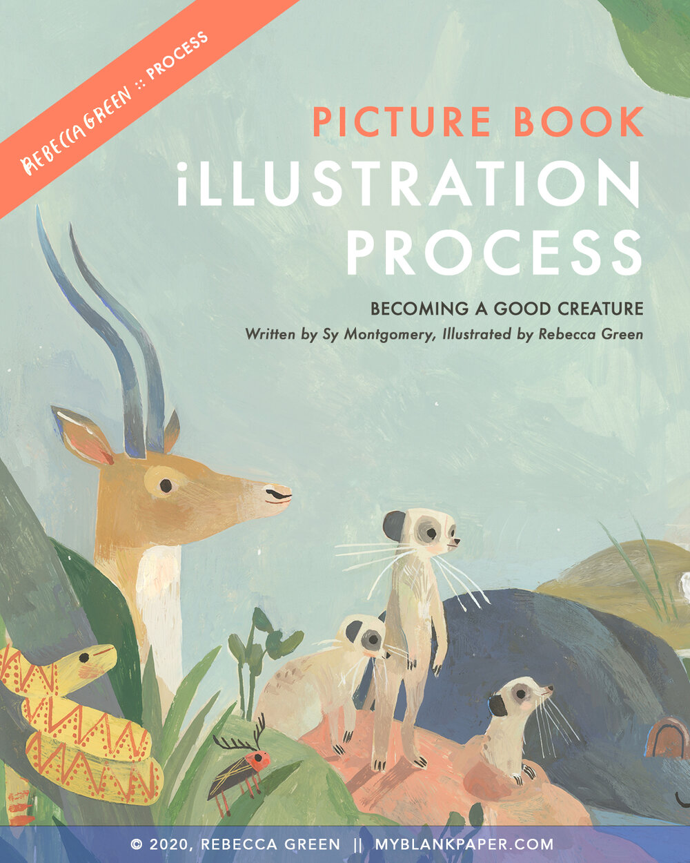Becoming A Good Creature: Picture Book Process! — Rebecca Green Illustration