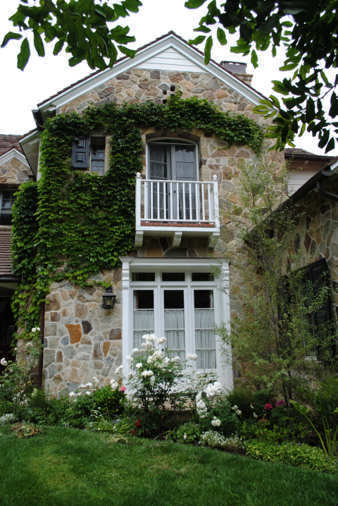 DSC_0233.JPG