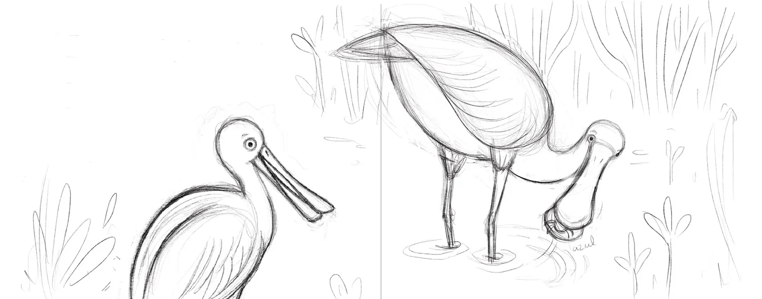 Spoonbill original sketch for Jenny’s First Catch