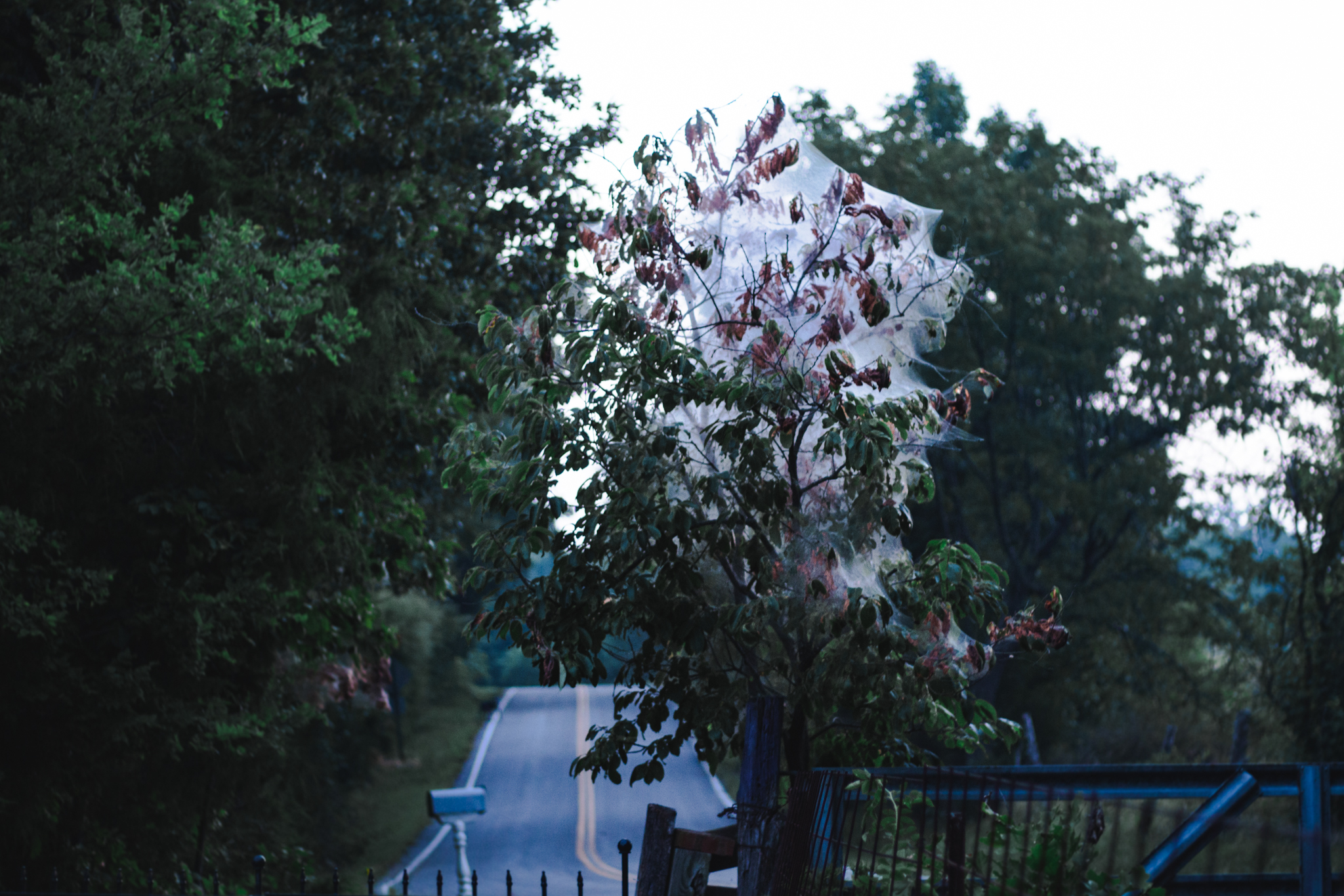 miseryweek2-34.jpg