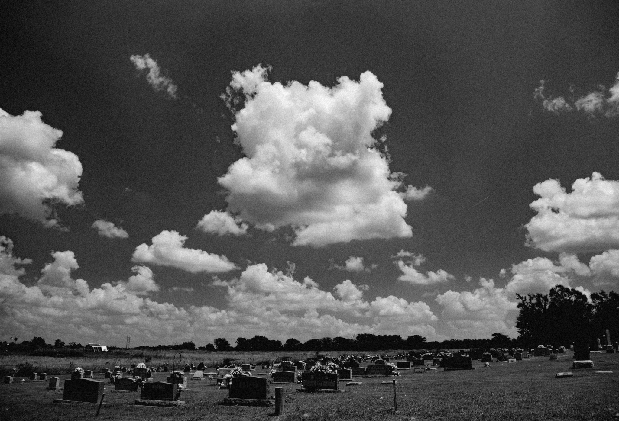 miseryweek3-36.jpg