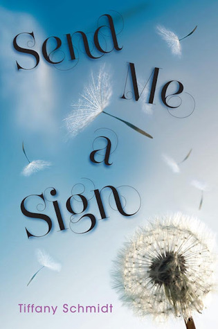 Review: Send Me a Sign by Tiffany Schmidt