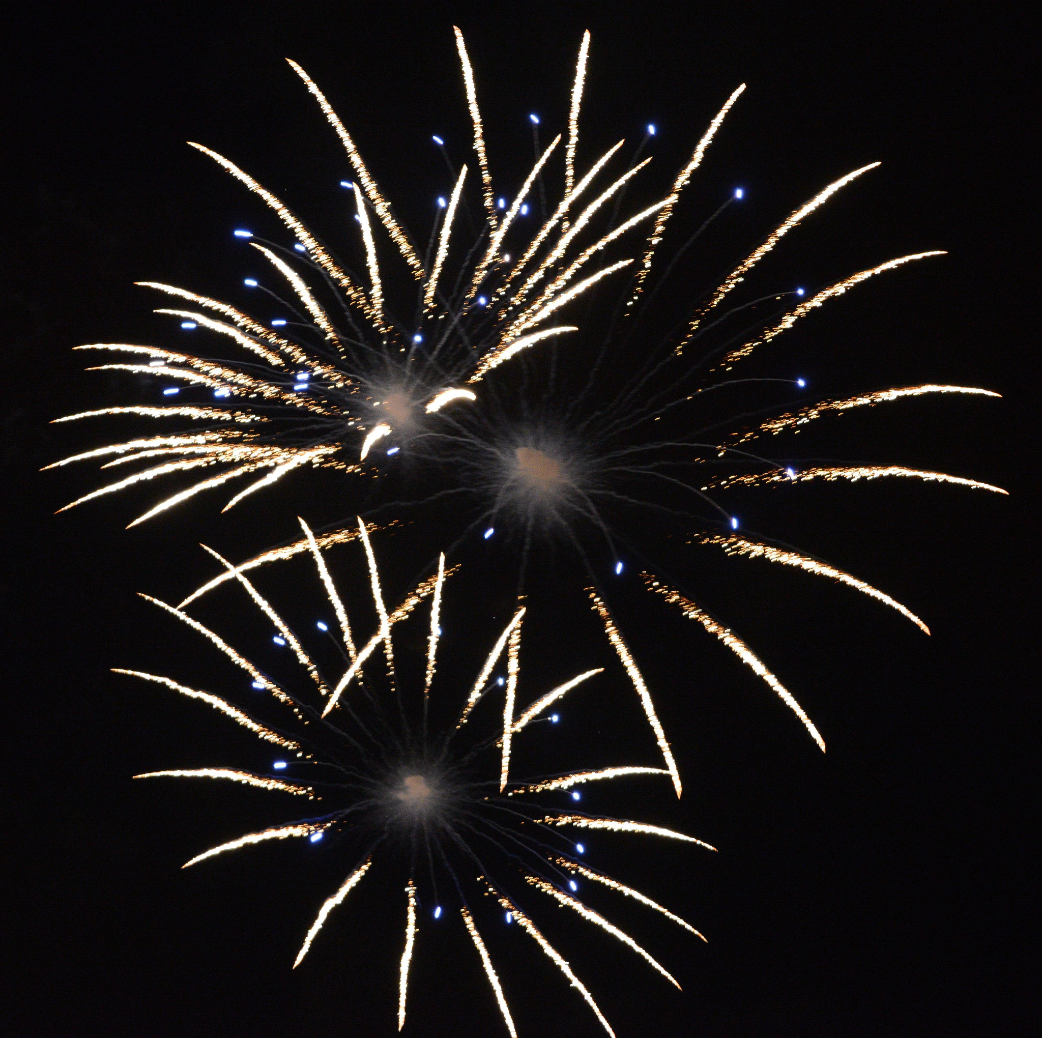 Happy New Year!