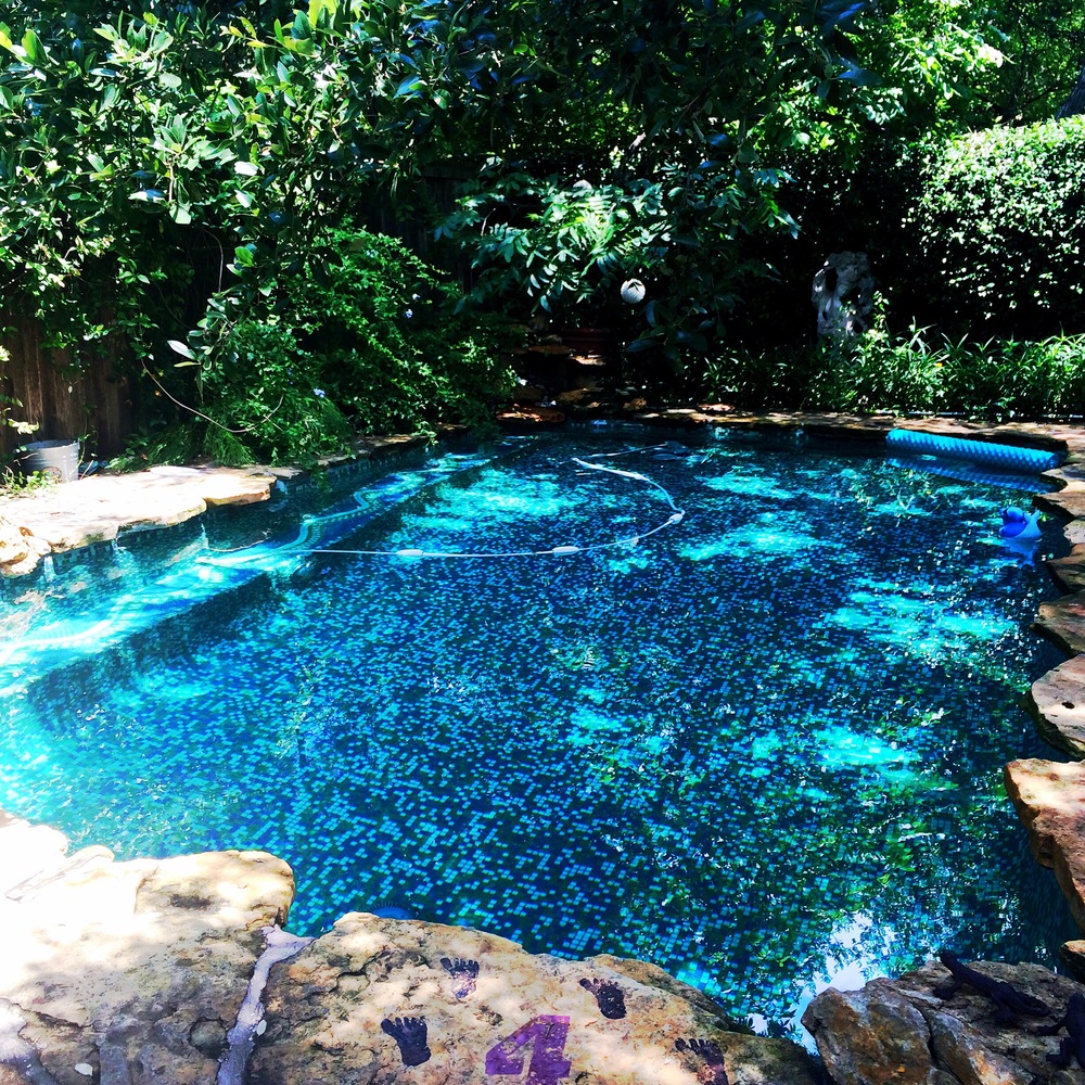 Eco Pool at Park Lane Guest House