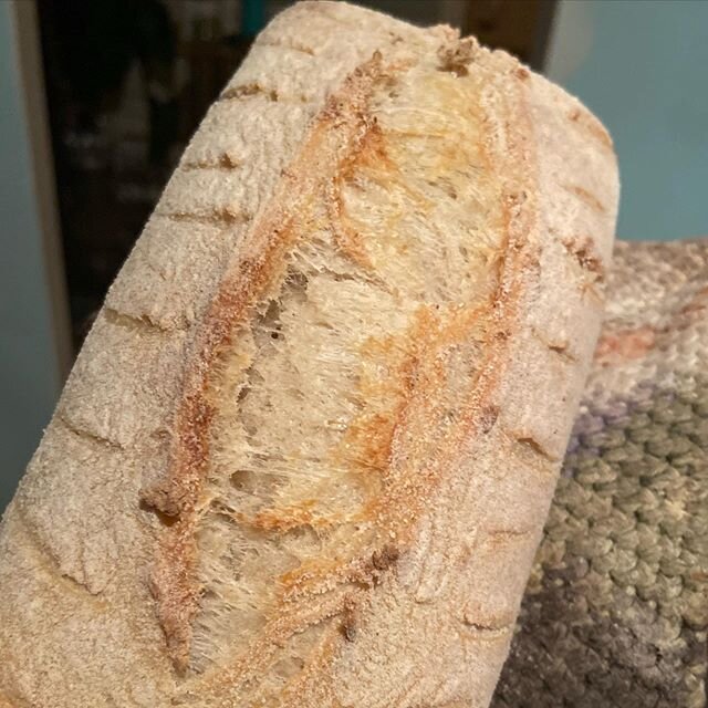 Pretty thrilled with the scoring on this sourdough loaf (the last one had some serious oven spring, and was the loaf I dropped off at our neighbors&rsquo; house).