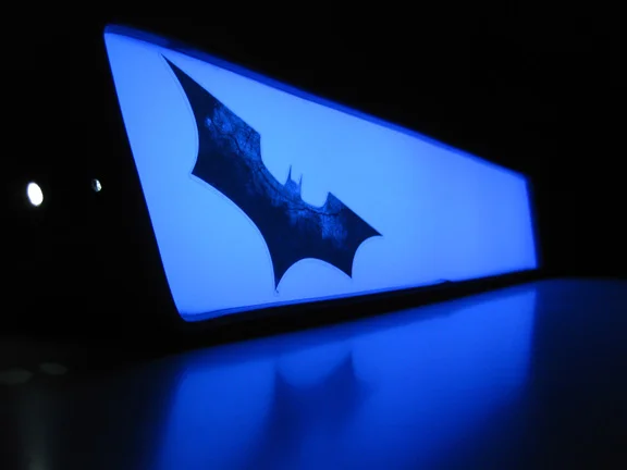 bat slash 05.JPG