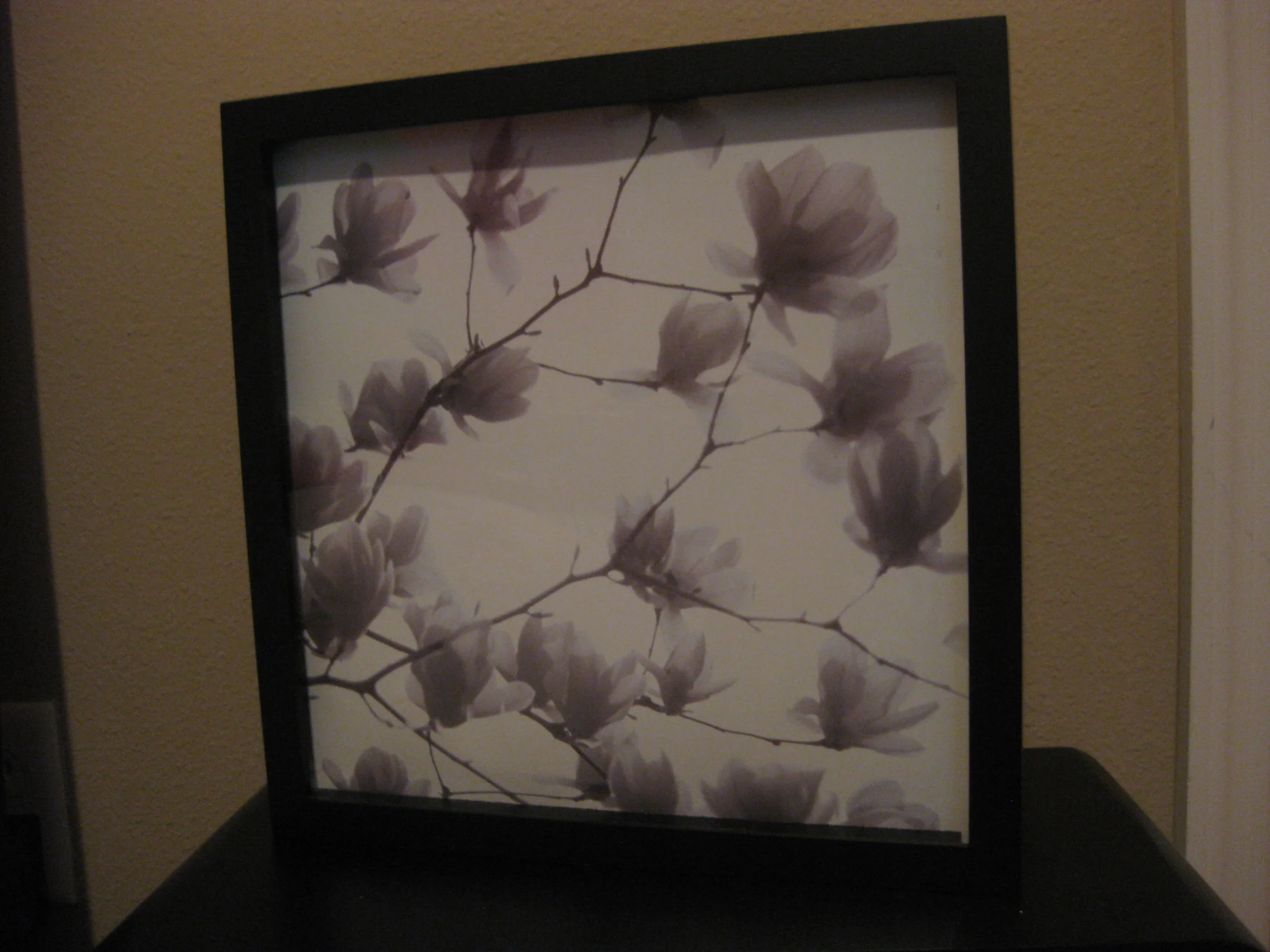 new pics 02.11.14 015.jpg