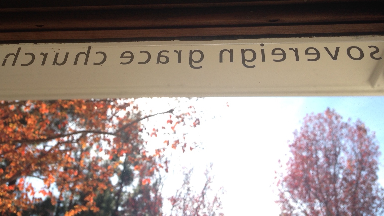 View from out the Church Office door. 