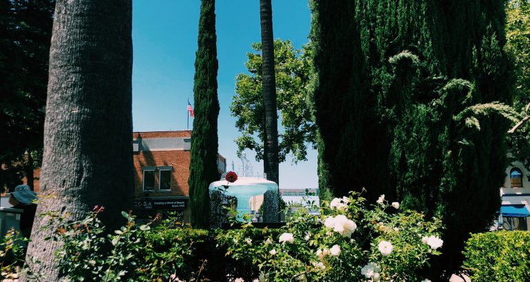 Photo by I Heart Old Towne Orange.