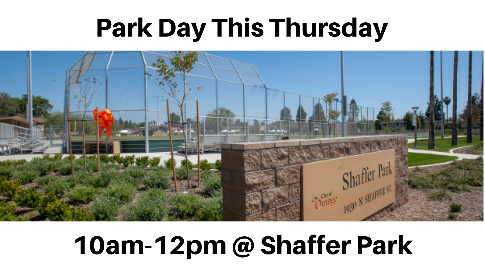 ParkDayThu.png