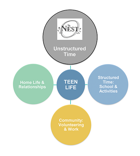 SLP NEST will be a place for students to create and explore many of the 40 developmental assets so critical to becoming healthy, contributing adults. St. Louis Park has embraced the developmental assets for decades. SLP NEST will provide opportunities for cultural competence, planning, decision-making, resistance skills, interpersonal competence, peaceful conflict resolution, personal power, self-esteem, sense of purpose and a positive view of a personal future. It will also be a space for personal growth and development — too rare in our over-scheduled, over-stressed and over-structured lives PLEASE help their mission by visiting the NEST and donating to it! It is going to be a great flight!