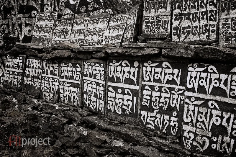 AU_Himalayas_7604 - Version 3.jpg