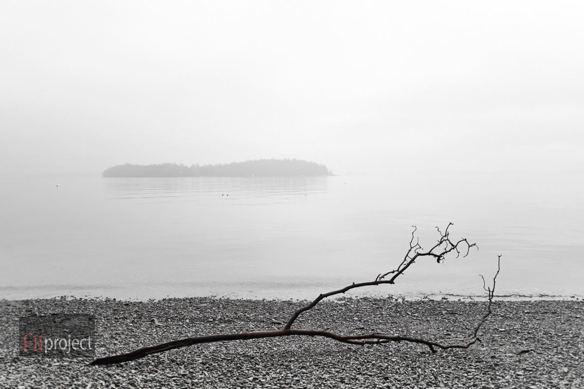 AU_SaltSpringIsland_3720.jpg