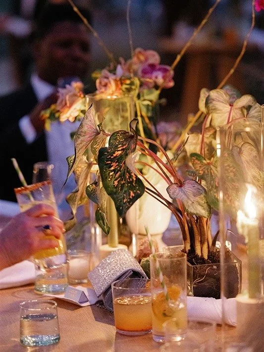 As the heat roll in, always thinking of the cool times we have out in the desert! This past wedding at the Korakia was an absolute blast for our glassware, especially the Moroccan tumblers! 🏝️🍹

Hotel - @korakia @korakiaweddings 
Asst Planner - @on