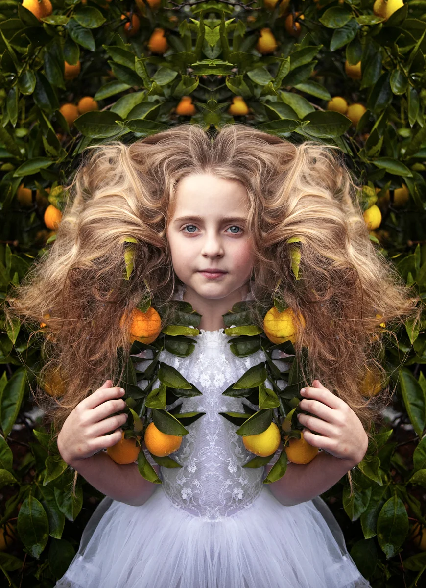 Oranges and Lemons APPA Silver
