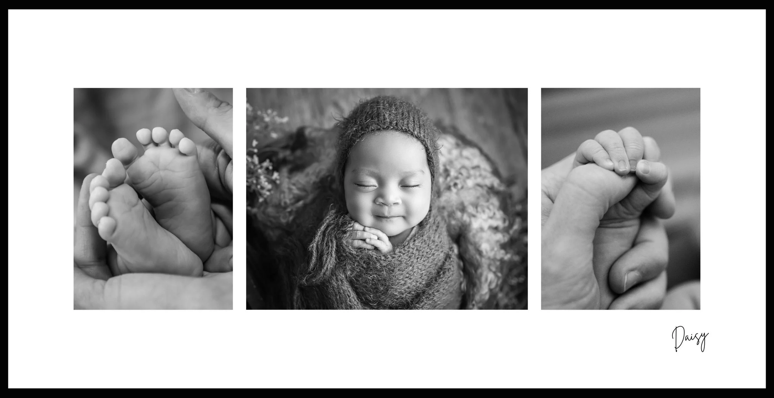 Daisy 28x14inframed.jpg