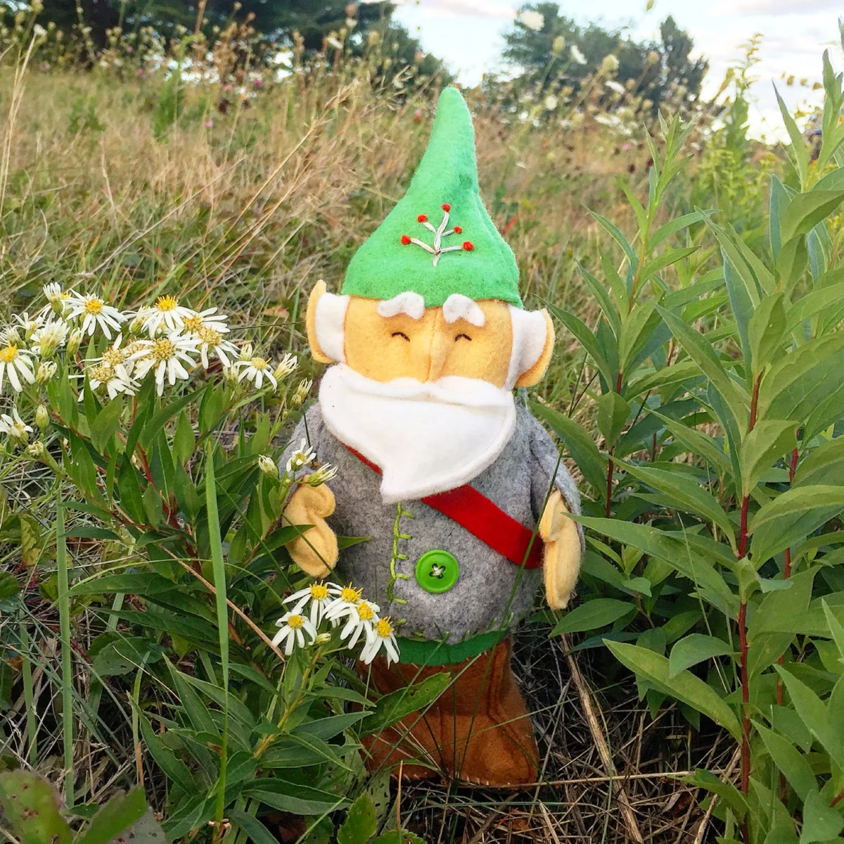 Gnome2.JPG