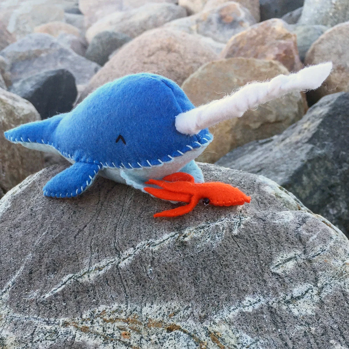 Narwhal.JPG