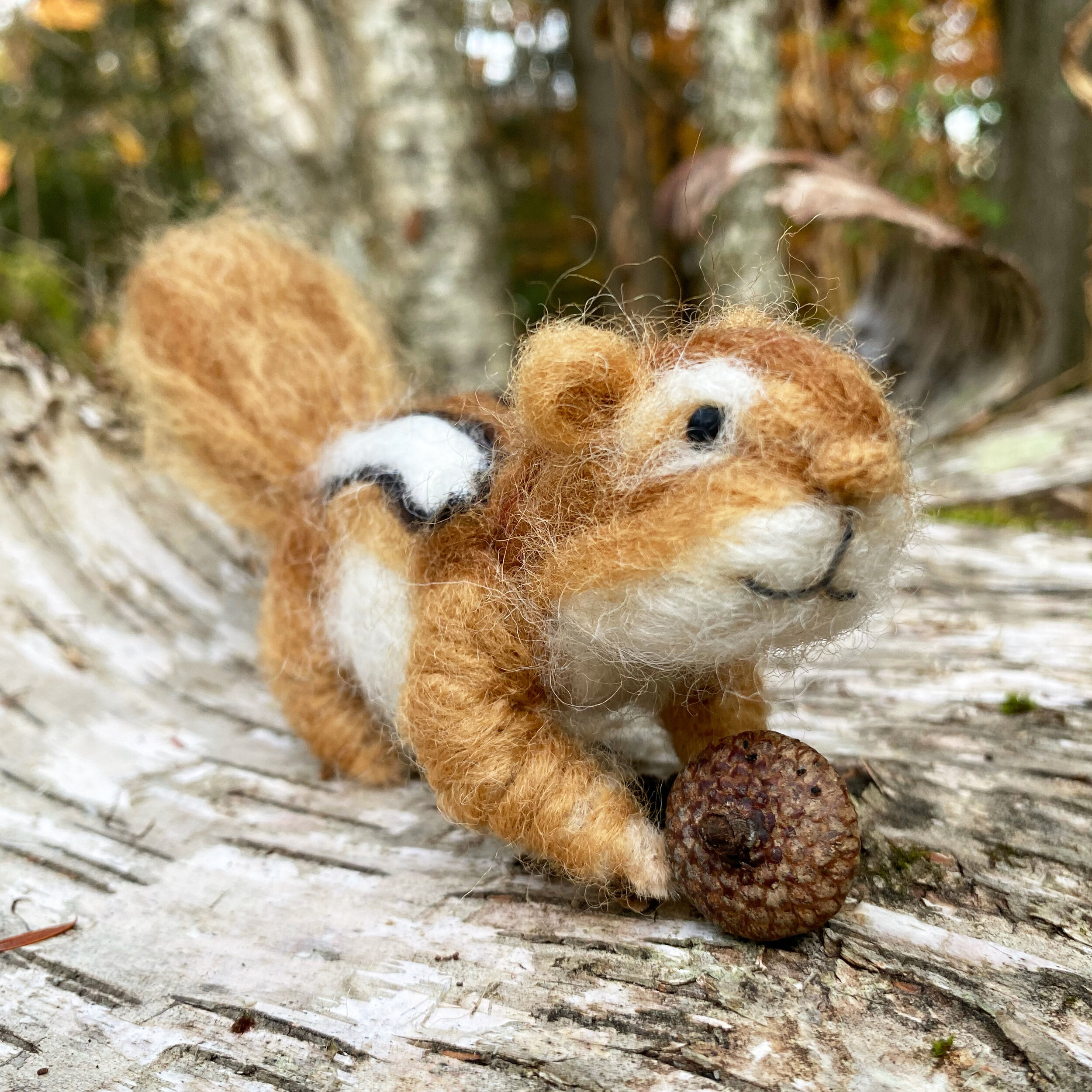 NeedlefeltChipmunk-1_Square.jpg