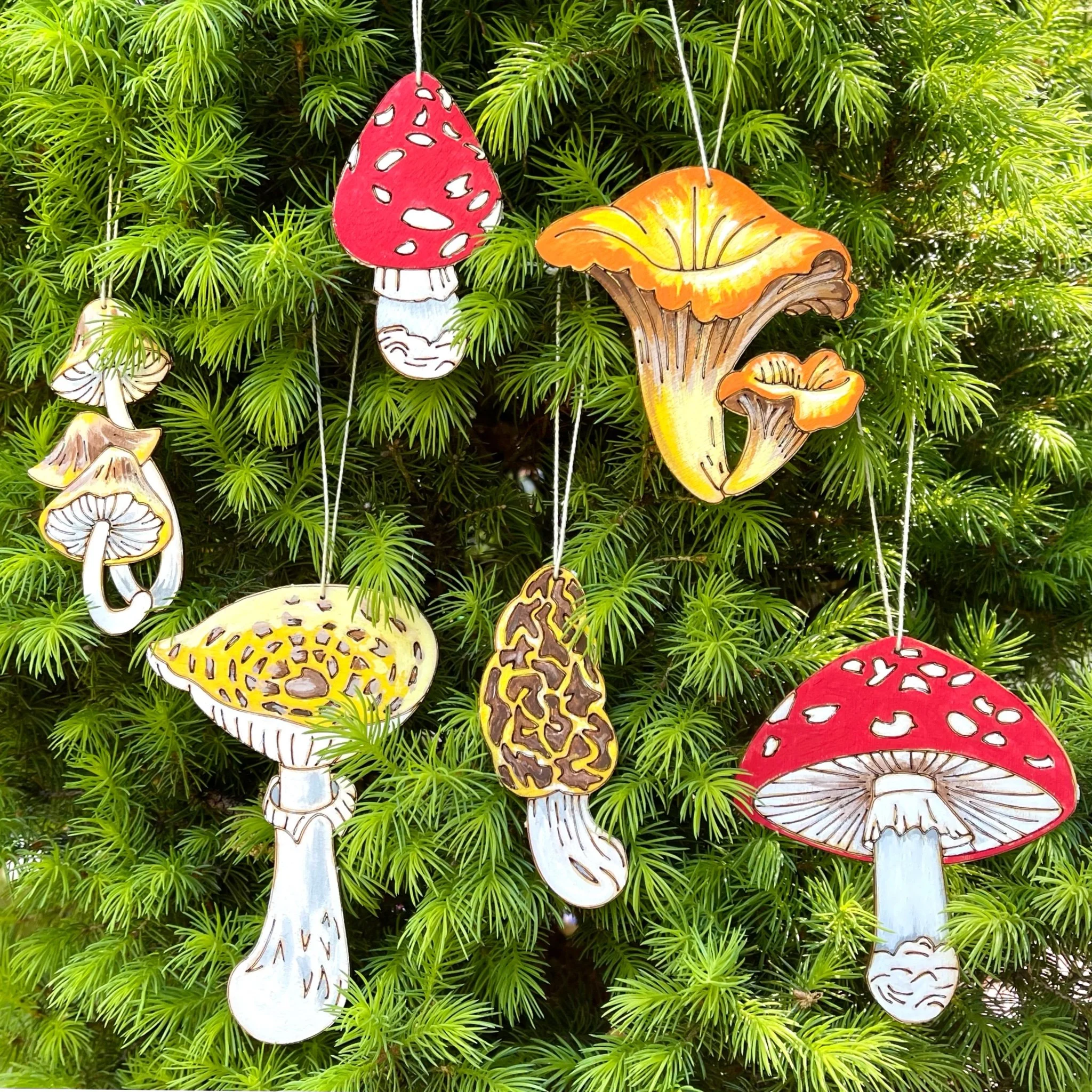 Mushroom in tree.jpg