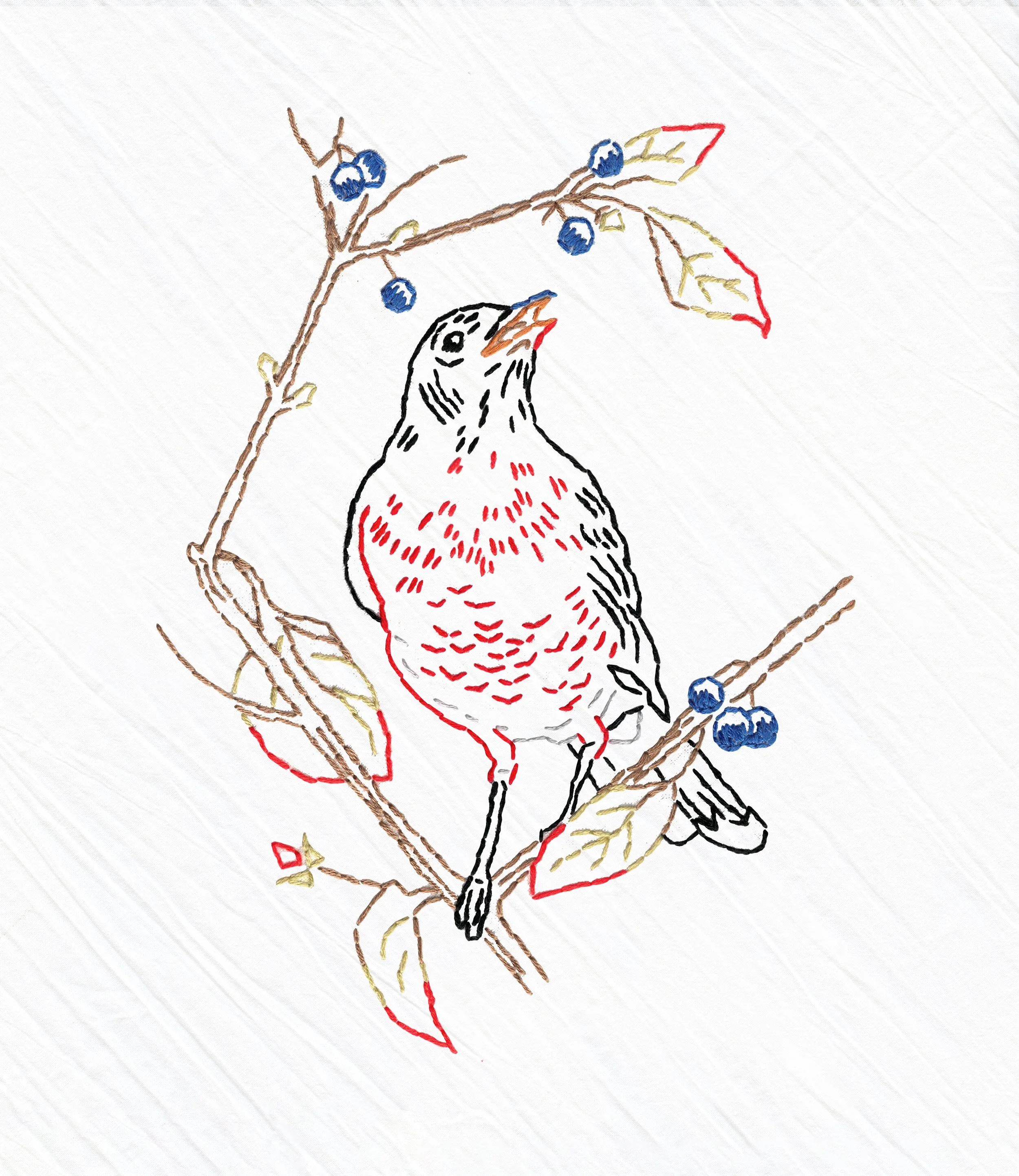 NEW! Robin Embroidered Whimsy Tea Towel Kit