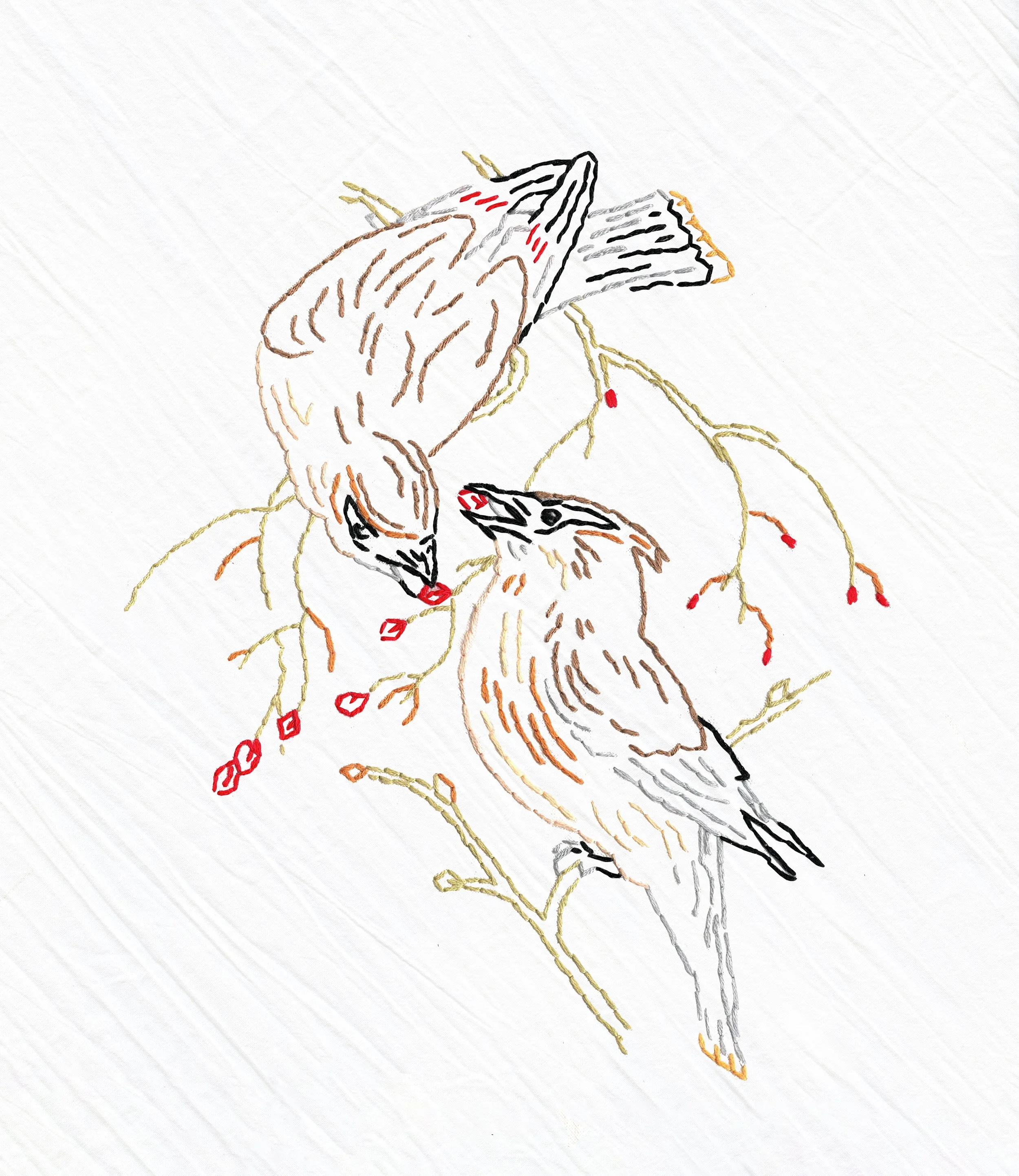 NEW! Cedar Waxwing Embroidered Whimsy Tea Towel Kit