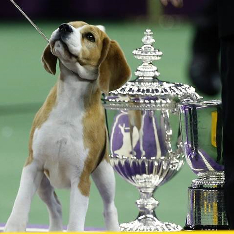 photo from nbcnews.com