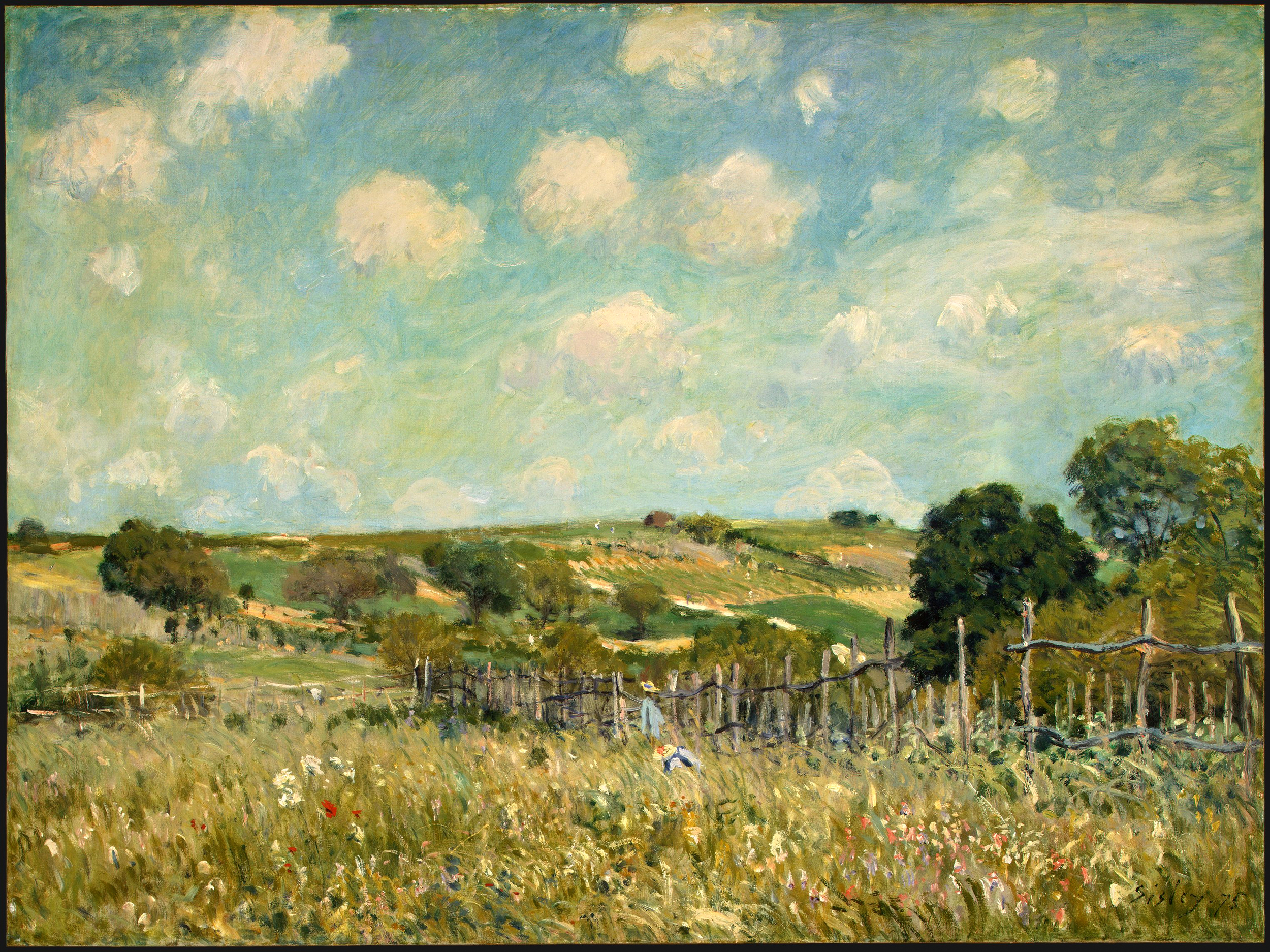 Meadow by Alfred Sisley [Public domain], via Wikimedia Commons