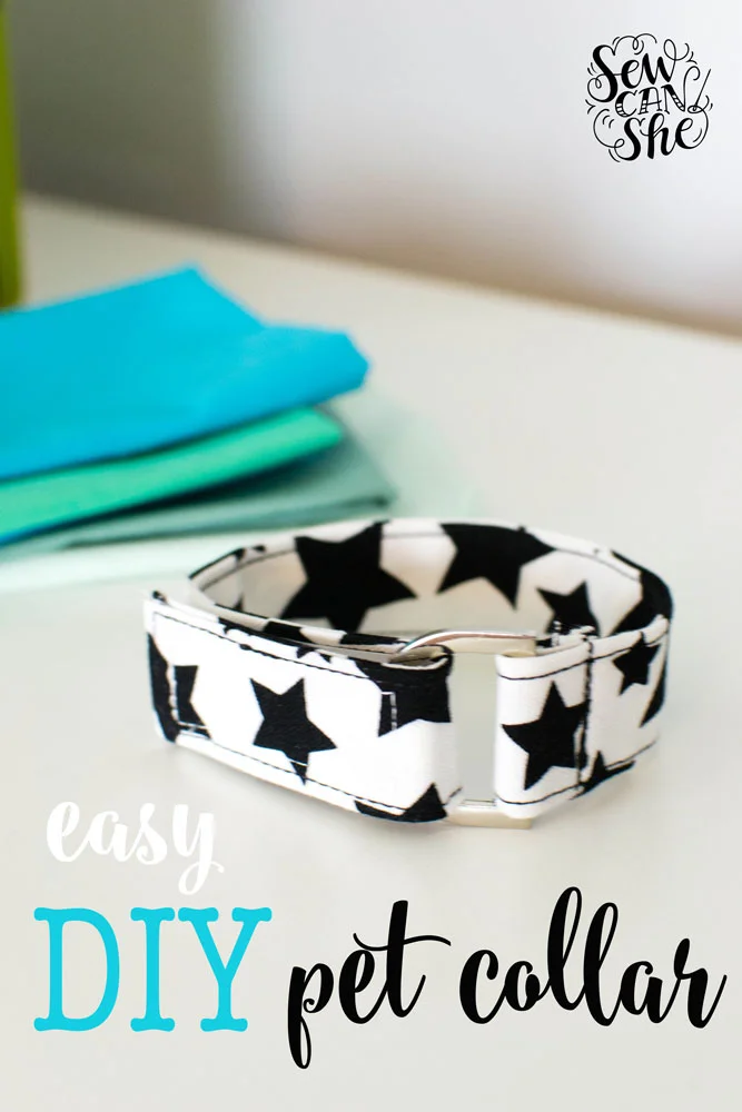pet-collar-tutorial.jpg