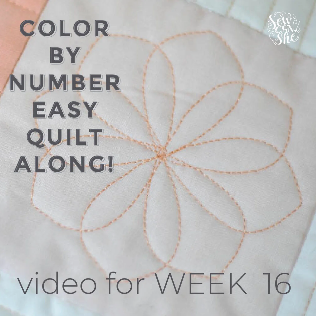 Easy Quilt Patterns for Beginners  3-Part Beginner Quilting Series with  Angela Walters 