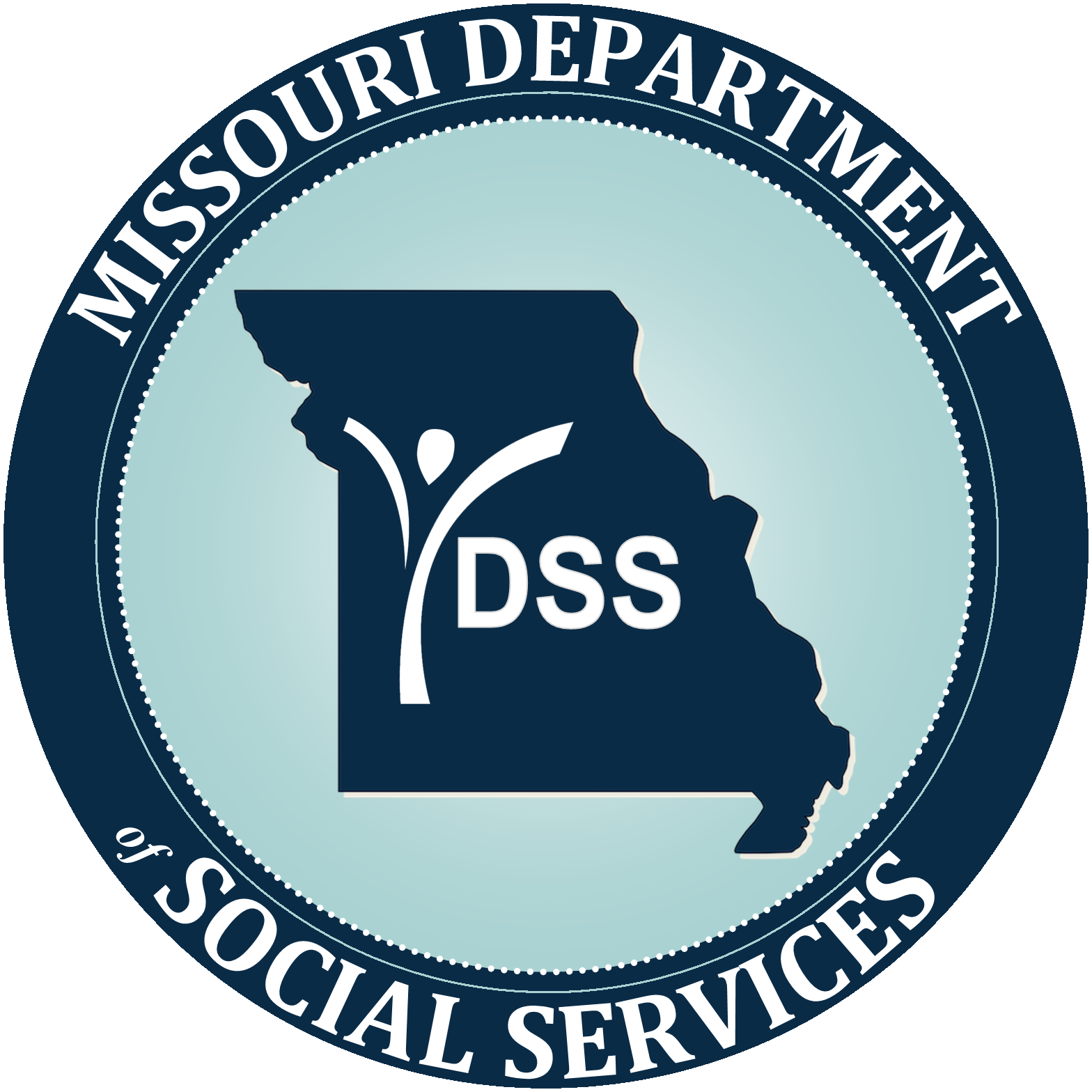 DSS logo.png