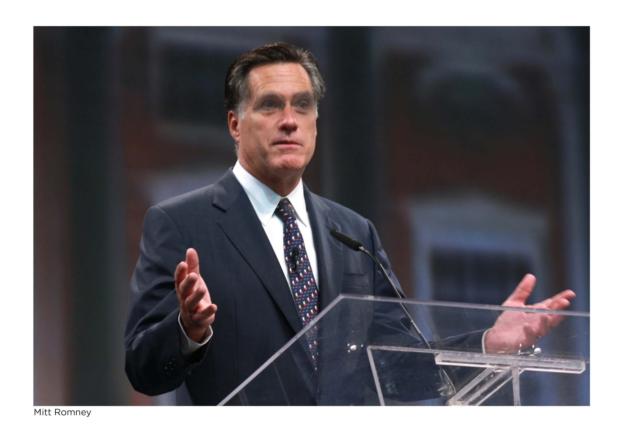 Mittmatted.jpg