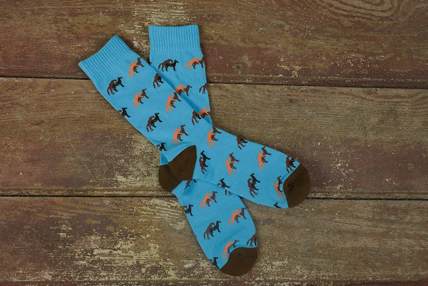 socks01_blog.jpg
